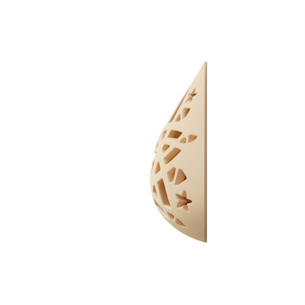 Boost Breast Forms
